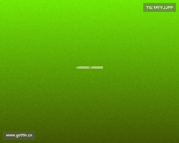 vs杯电子竞技峰会;vs电子竞技俱乐部